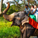 lanka tour agency by thawalama travels kandy